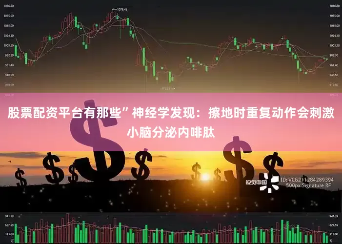 股票配资平台有那些”神经学发现：擦地时重复动作会刺激小脑分泌内啡肽