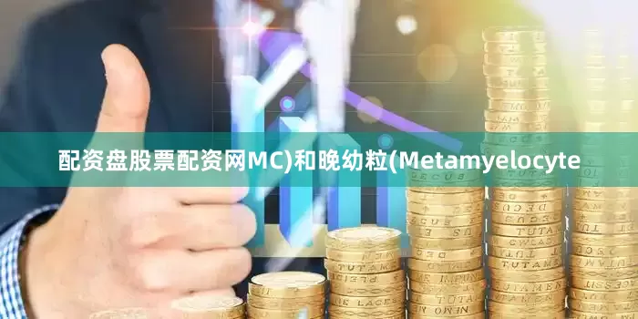 配资盘股票配资网MC)和晚幼粒(Metamyelocyte