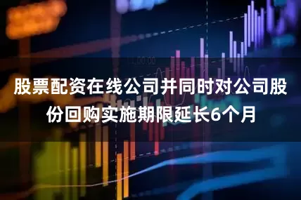 股票配资在线公司并同时对公司股份回购实施期限延长6个月
